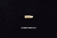 陶把藏品圖，第2張